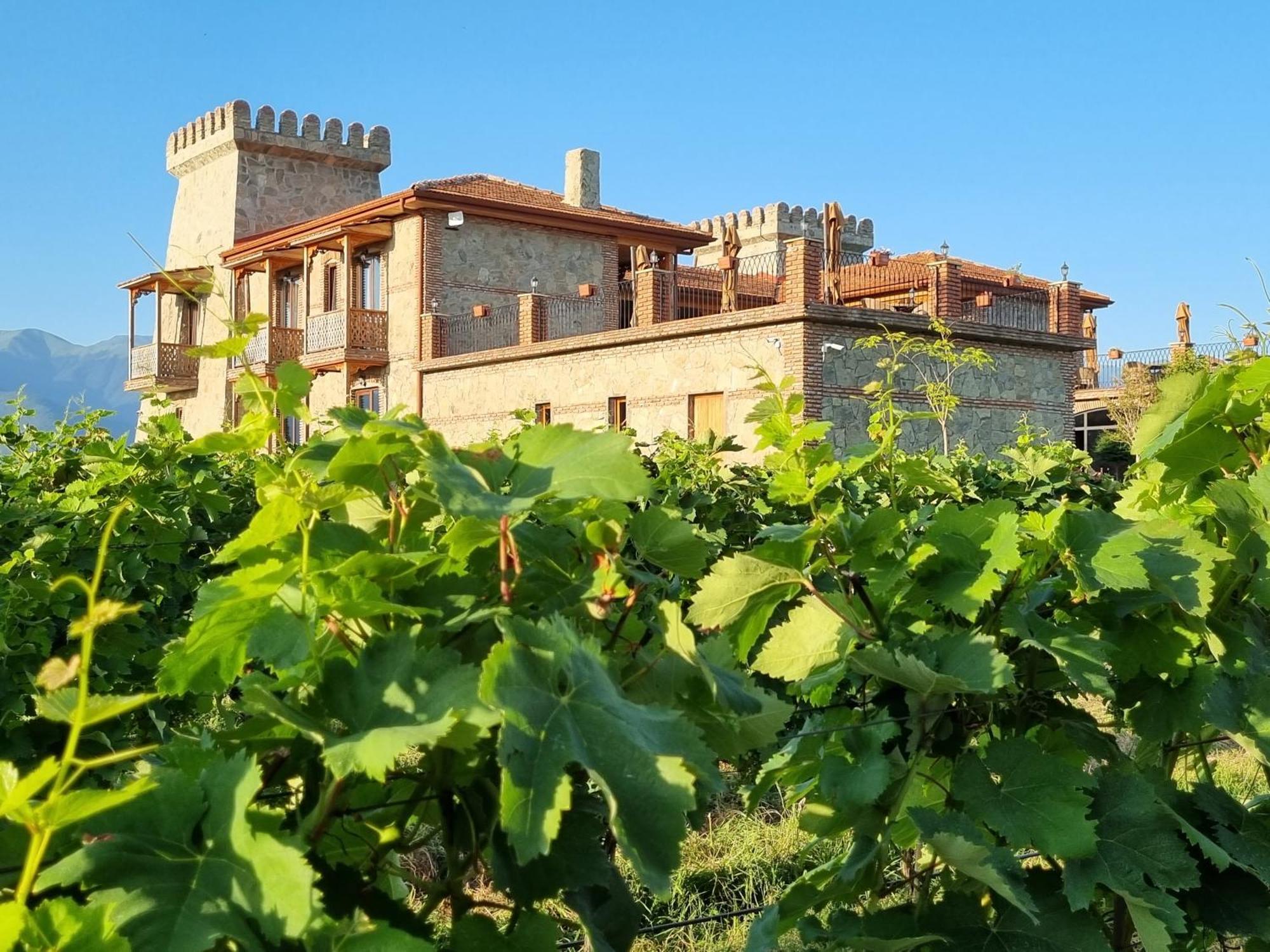 Chateau Davitiani Shilda Exterior foto