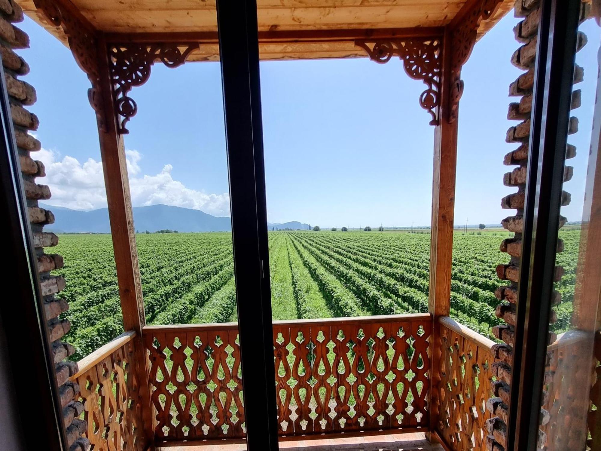 Chateau Davitiani Shilda Zimmer foto