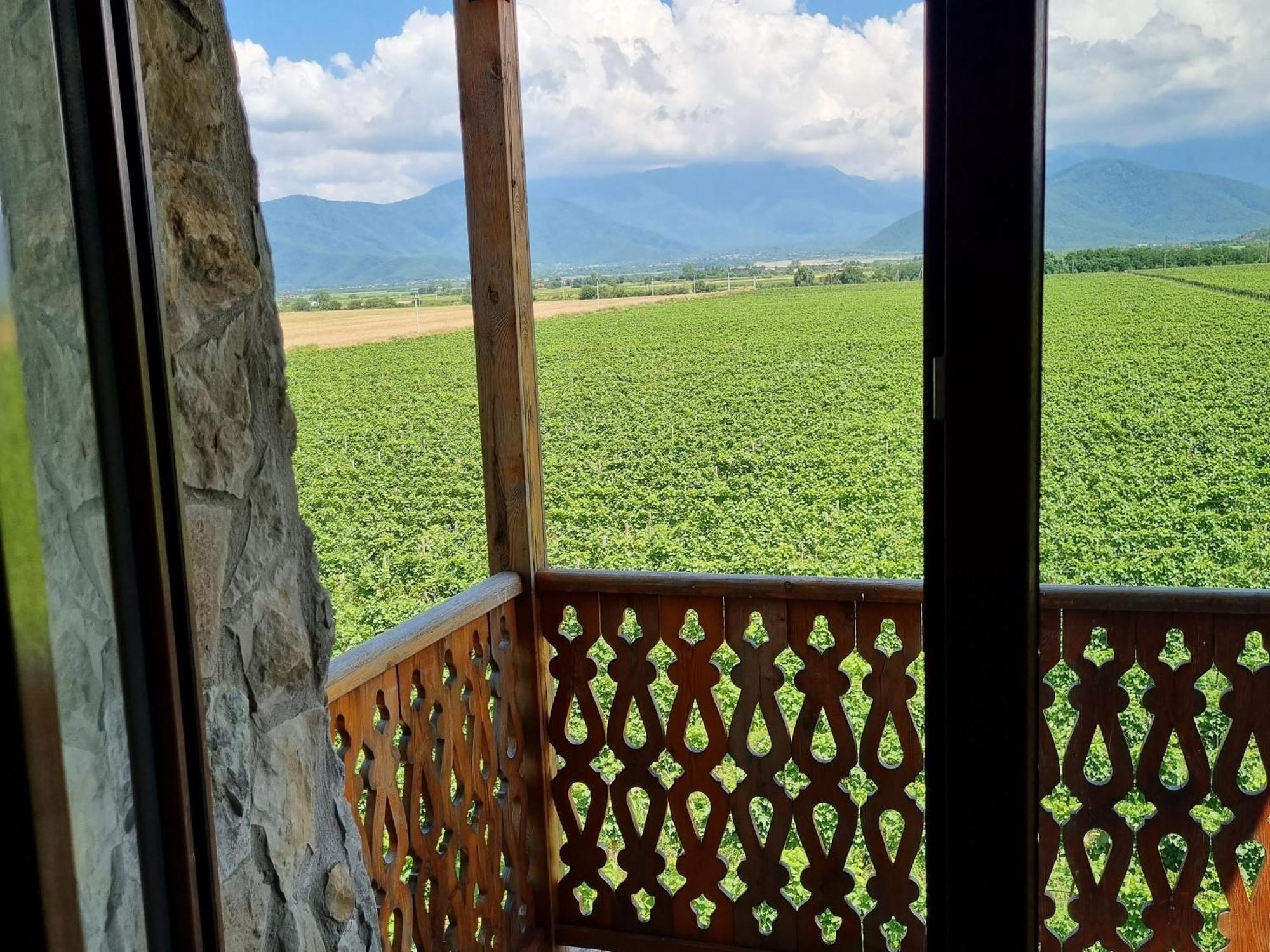 Chateau Davitiani Shilda Zimmer foto