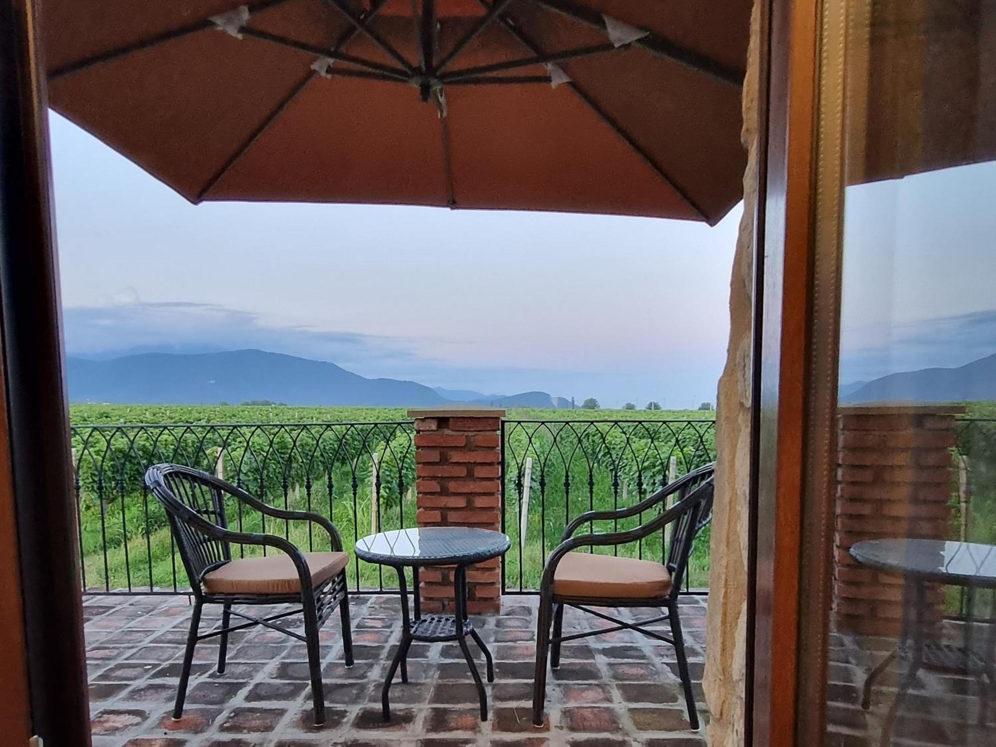 Chateau Davitiani Shilda Zimmer foto