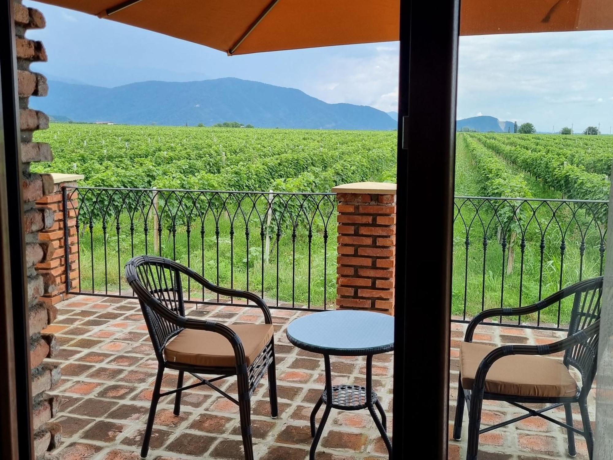 Chateau Davitiani Shilda Zimmer foto