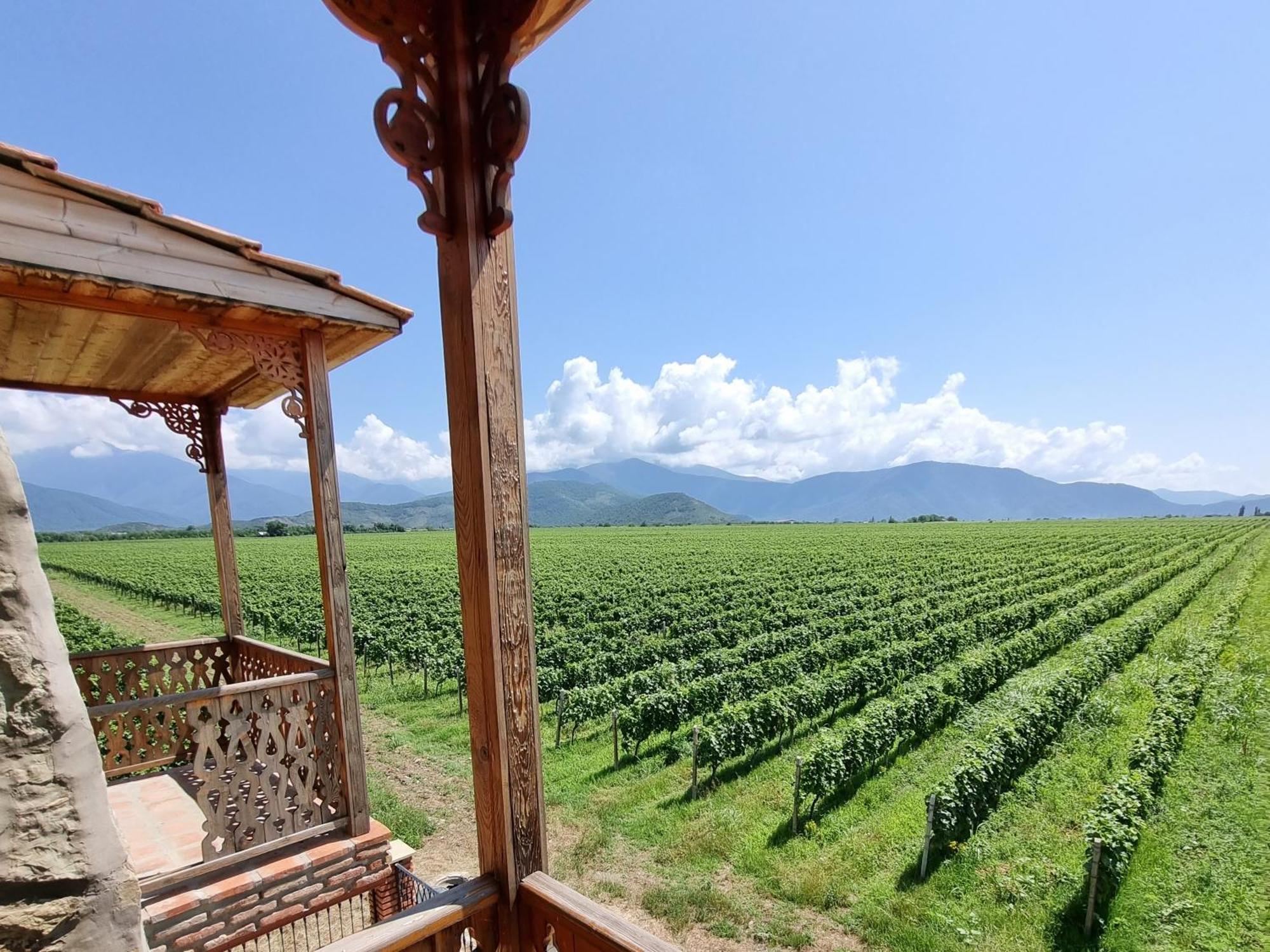Chateau Davitiani Shilda Zimmer foto