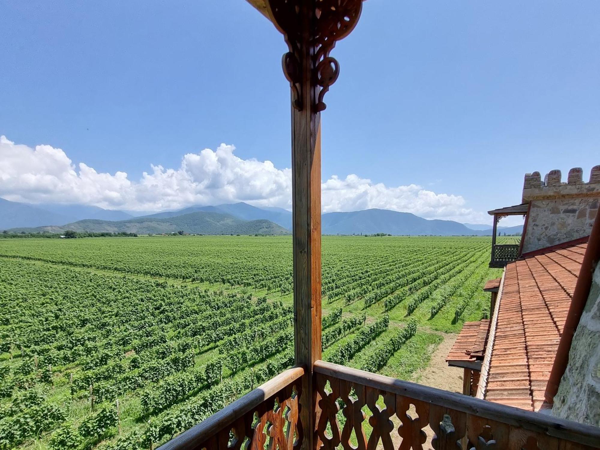 Chateau Davitiani Shilda Zimmer foto