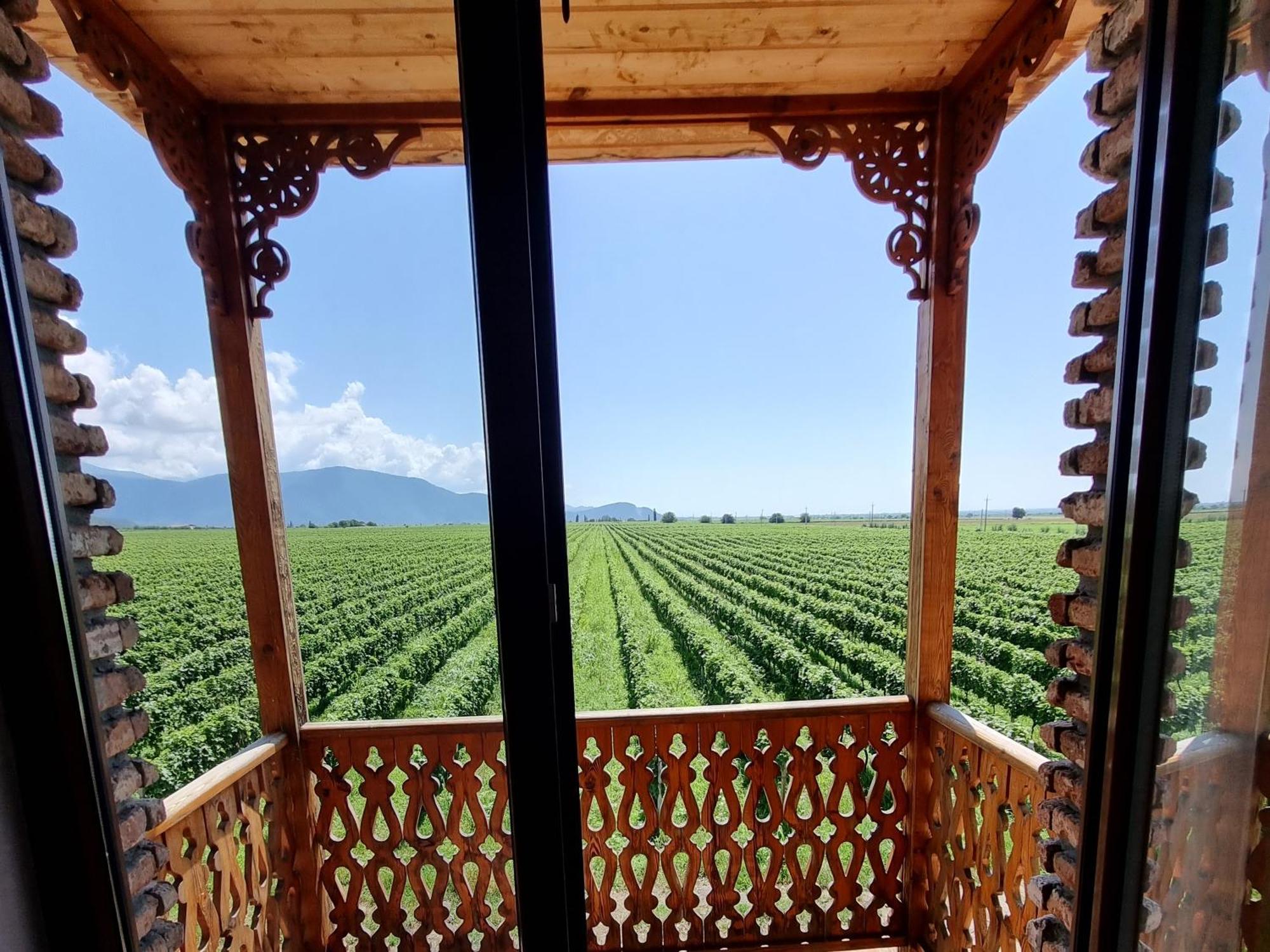 Chateau Davitiani Shilda Zimmer foto