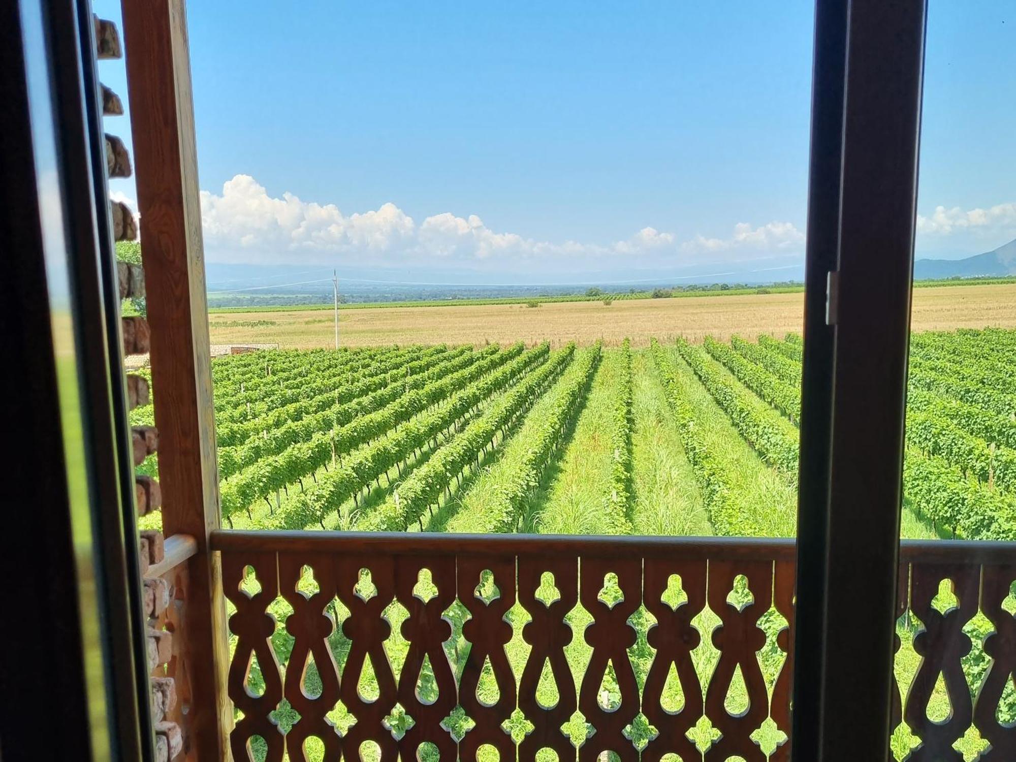 Chateau Davitiani Shilda Zimmer foto